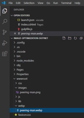 webp-file-in-project